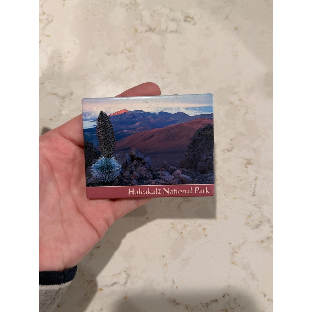 Haleakala National Park Hawaii Souvenir Magnet Silversword Maui‎ Landscape